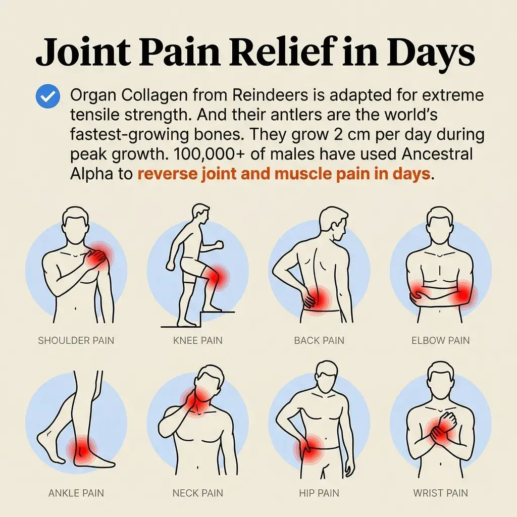 Ancestral Alpha™ - Deer Testosterone Support